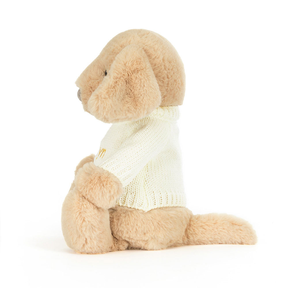 Bashful Luxe Puppy Orlando with Personalized Cream Jumper 1 Bashful Luxe Puppy Orlando with Personalized Cream Jumper