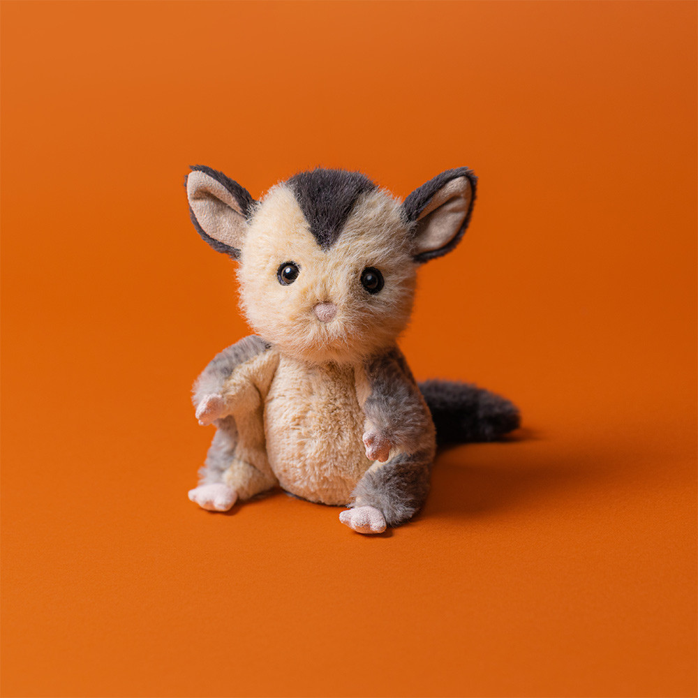 Lolly Sugar Glider 1 Lolly Sugar Glider