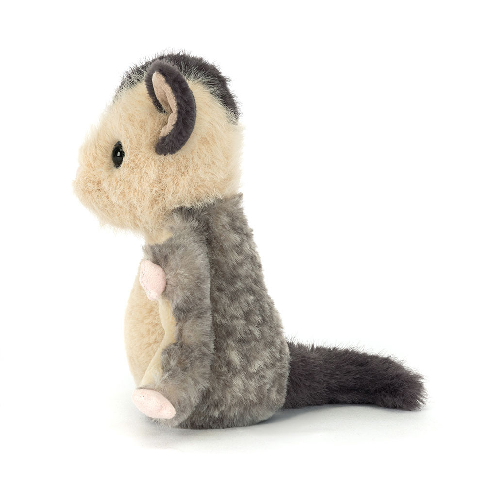 Lolly Sugar Glider 2 Lolly Sugar Glider