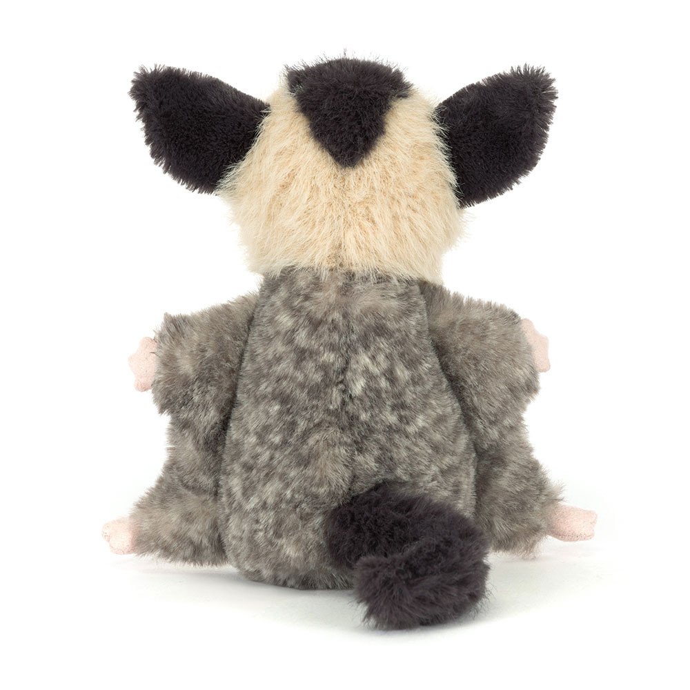 Lolly Sugar Glider 3 Lolly Sugar Glider