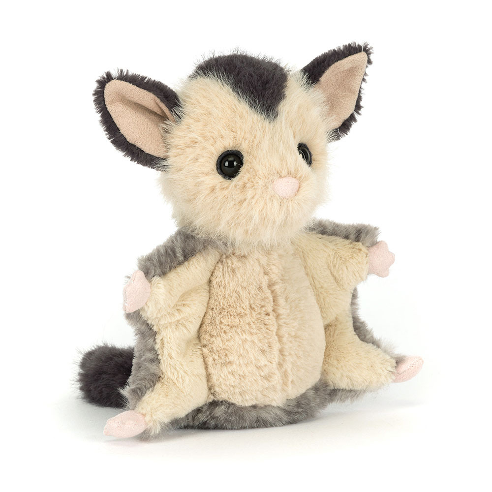Lolly Sugar Glider 5 Lolly Sugar Glider