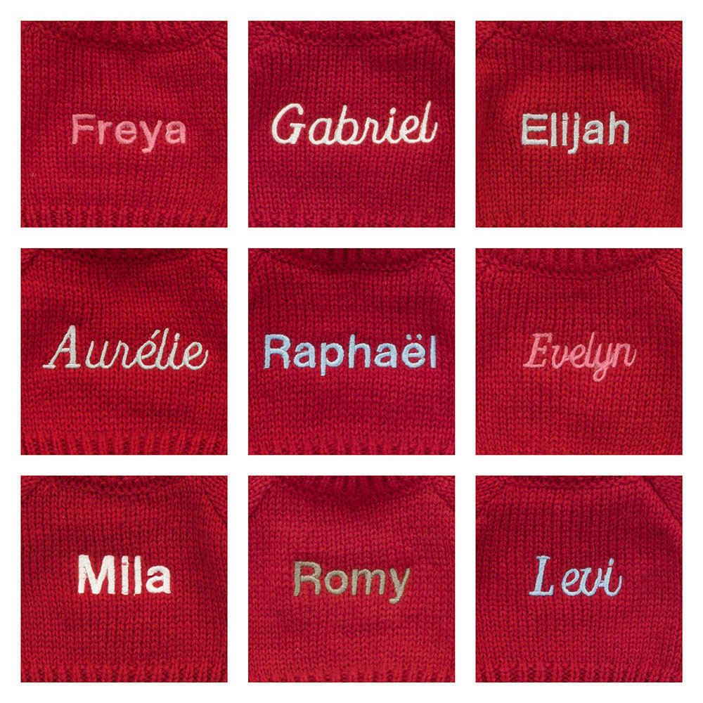 Bashful Lion with Personalized Red Jumper 2 Bashful Lion with Personalized Red Jumper