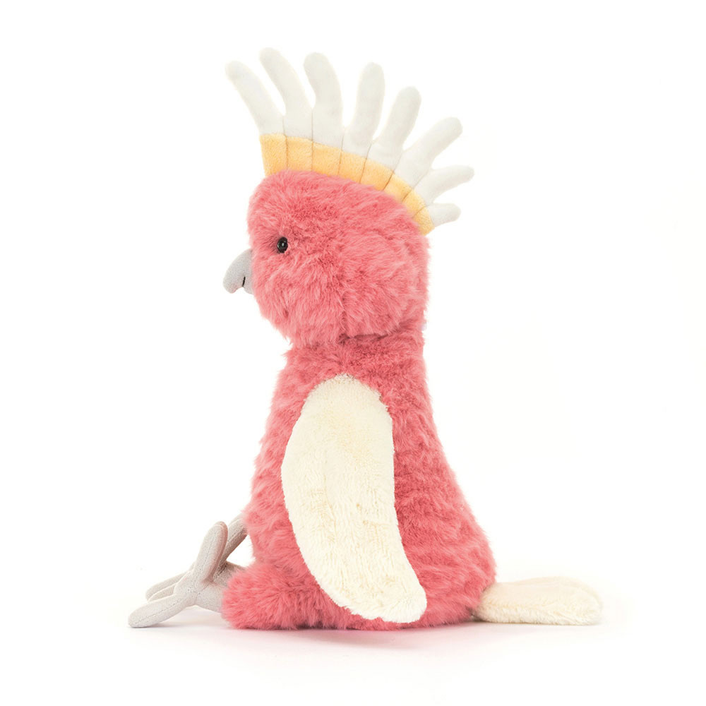 Squawkatoo 2 Squawkatoo